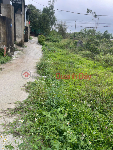 Land for sale with street frontage in Thuy Phuong. _0