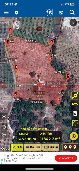 Property Search Vietnam | OneDay | Residential, Sales Listings | BEAUTIFUL COCONUT GARDEN LAND – GOOD PRICE – OWNER NEEDS TO SELL IN BAC BINH TOWN, BAC BINH DISTRICT, BINH THUAN PROVINCE