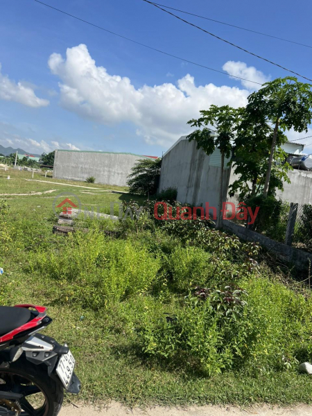 Property Search Vietnam | OneDay | Residential Sales Listings, OWN 2 Lots of Land Now in Beautiful Locations in Phuoc Thanh Commune, Tuy Phuoc District, Binh Dinh Province