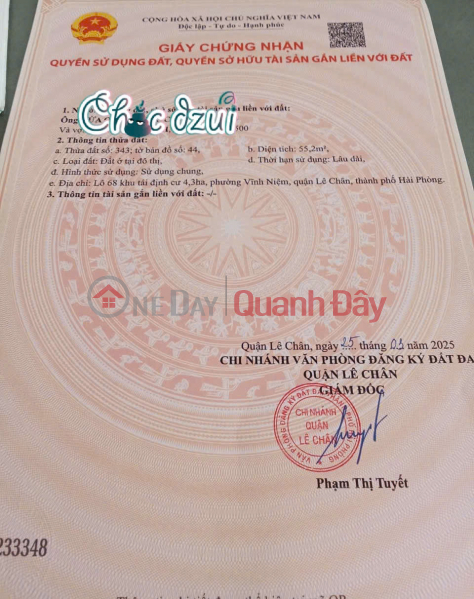 Lô góc TĐC Vĩnh Niệm - đối diện Cục Thuế siêu đẹp - 55m, Giá 6.25 tỉ | Việt Nam | Bán | đ 6,25 tỷ