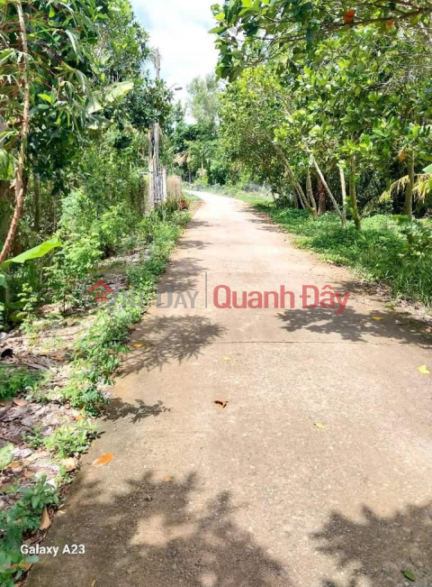 BEAUTIFUL LAND - GOOD PRICE - ORIGINAL FOR SALE Fast Land Lot Location In Dong Thap Province _0