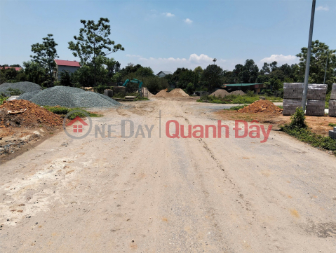 CHÍNH CHỦ BÁN NHANH ĐẤT 125m Nằm Trên Trục Chính Khu Tái Định Cư Bình Yên - Thạch Thất, Hà Nội _0