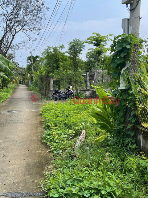 ĐẤT ĐẸP – GIÁ TỐT – CHÍNH CHỦ CẦN BÁN 3 LÔ ĐẤT VỊ TRÍ ĐẸP TẠI Tiền Giang _0