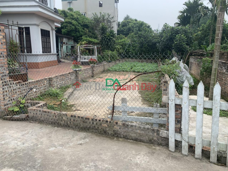 Cheap land for sale in Nam Hong Dong Anh, 17m road surface, price only 4X Sales Listings