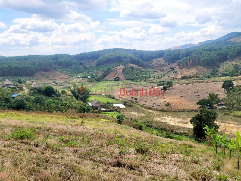 FOR SALE 6525M LAND WITH PRIVATE TITLE IN TA NUNG, DA LAT - price only 6 billion | Vietnam | Sales, đ 6 Billion