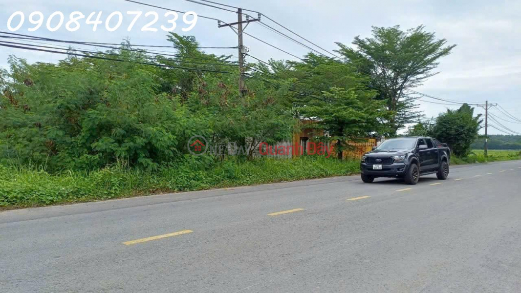 CẦN BÁN LÔ ĐẤT Mặt tiền đường Hồ Văn Tắng, Xã Tân thạnh Đông, củ Chi, HCM Niêm yết bán