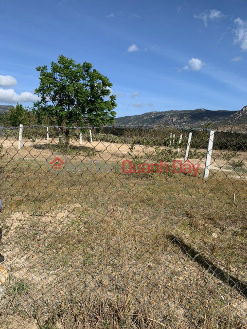 OWNER LAND - FOR SALE LOT OF LAND IN THUAN BAC NINH THUAN PROVINCE _0