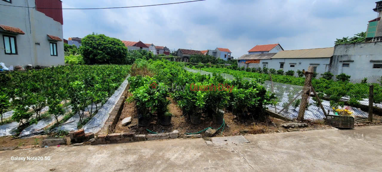 Land for sale on car road in Me So, 3 minutes drive from Ring Road 4, investment price | Vietnam | Sales đ 2.9 Billion