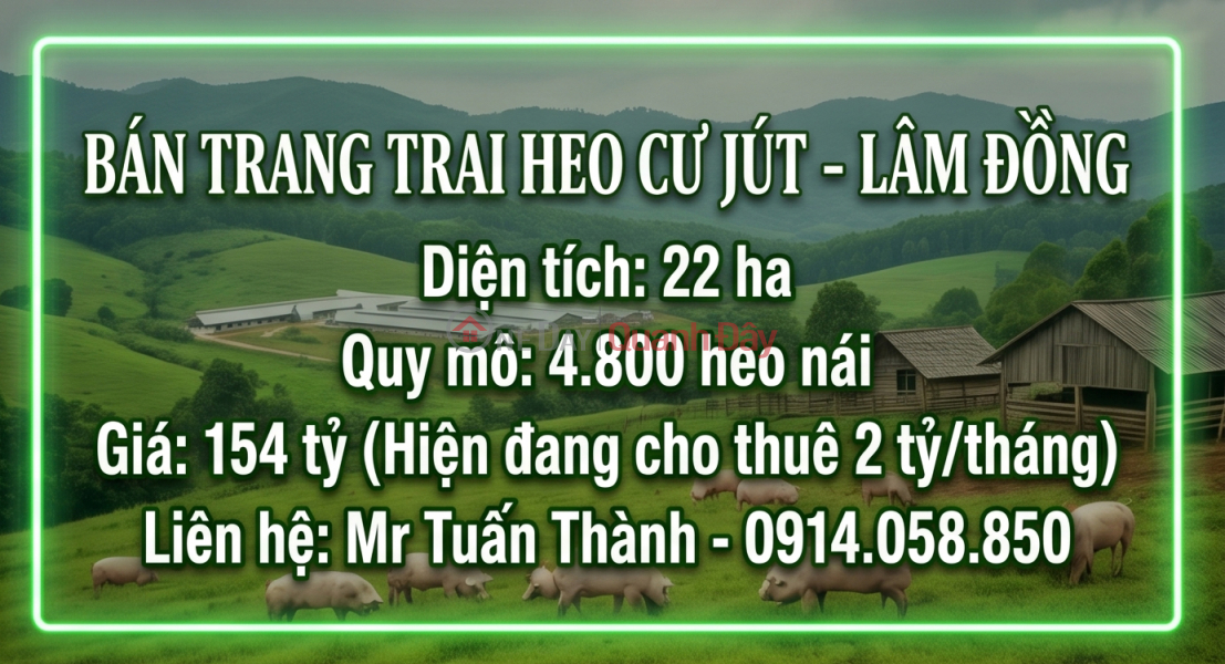 22-hectare Mega Pig Farm - Rental Income of 24 Billion VND\\/Year Sales Listings