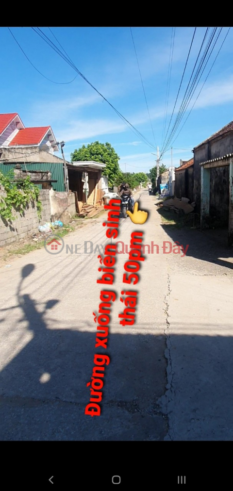 ORIGINAL LAND - INVESTMENT PRICE For Quick Sale In Da Loc - Hau Loc - Thanh Hoa _0