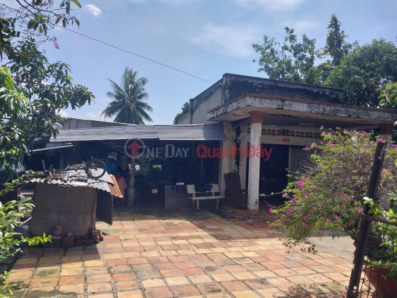 Beautiful Land - Good Price - Owner Needs to Sell a Lot of Land in a Good Location in An Thanh, Ben Cau, Tay Ninh Sales Listings