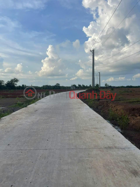 Property Search Vietnam | OneDay | Residential Sales Listings | BEAUTIFUL LAND - HIGH PROFITABLE INVESTMENT - Need to Sell Land Plot Quickly in Loc Khanh, Loc Ninh, Binh Phuoc