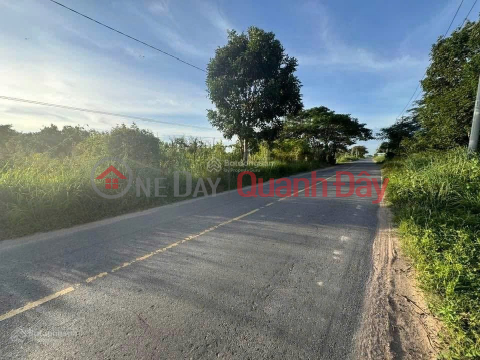 Land for sale by owner on Road 785C, Tan Ha Commune, Tan Chau District, Tay Ninh Province. _0