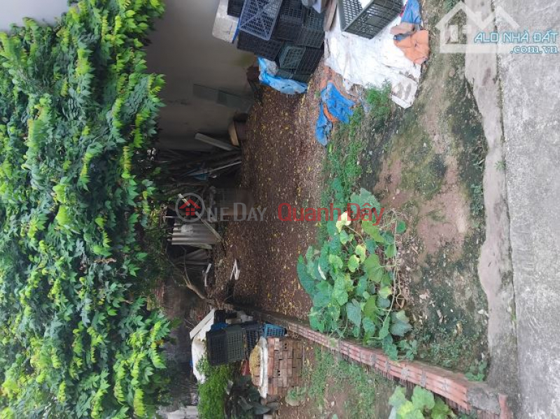 Rare, Only 6.8 billion, Own 52m2 of Land in Tu Hoang, Nam Tu Liem Sales Listings