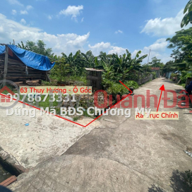 PRICE ONLY 1TY3 TO OWN A BEAUTIFUL LOT OF LAND IN THUY HUONG-CHUONG MY _0