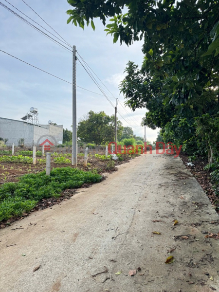 BEAUTIFUL LAND - GOOD PRICE - URGENT SALE Potential Land Lot In Dong Thanh Commune, Lam Ha, Lam Dong | Vietnam Sales đ 1.18 Billion