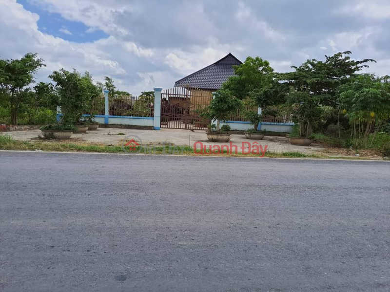 OWNER NEEDS TO SELL LAND LOT QUICKLY, Beautiful Location On Xuyen A Street - Thoi Binh District - Ca Mau Sales Listings