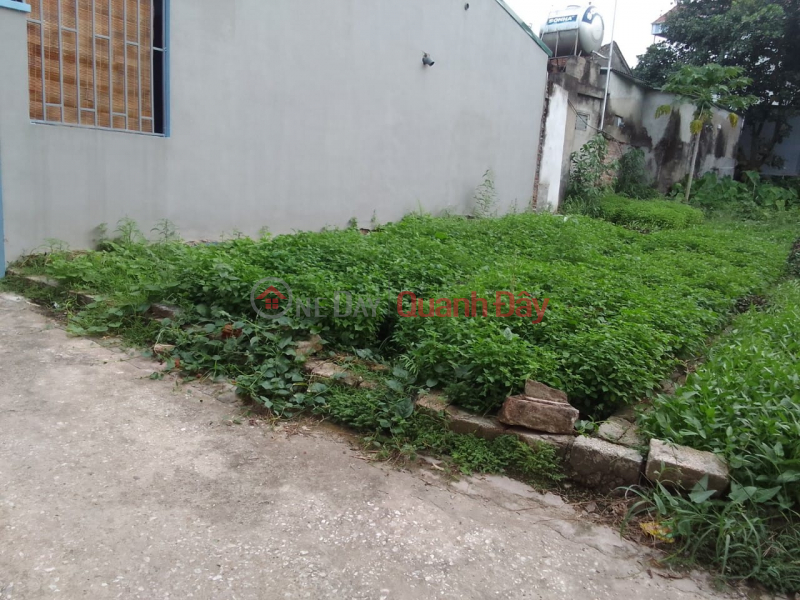 Want to sell plot of land 90.8m2, 2x million\\/m2, Thai Hoa, Hop Dong, Chuong My, Hanoi, alley, car, adjacent to TL 419 | Vietnam | Sales, đ 2.08 Billion