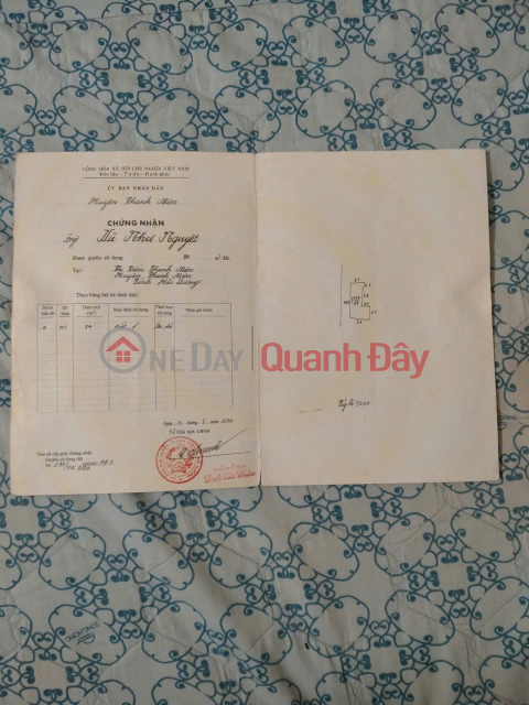 ĐẤT ĐẸP- GIÁ TỐT CHÍNH CHỦ BÁN NHANH LÔ ĐẤT TIỀM NĂNG mặt đường Nguyễn Lương Bằng t.trấn Thanh Miện _0