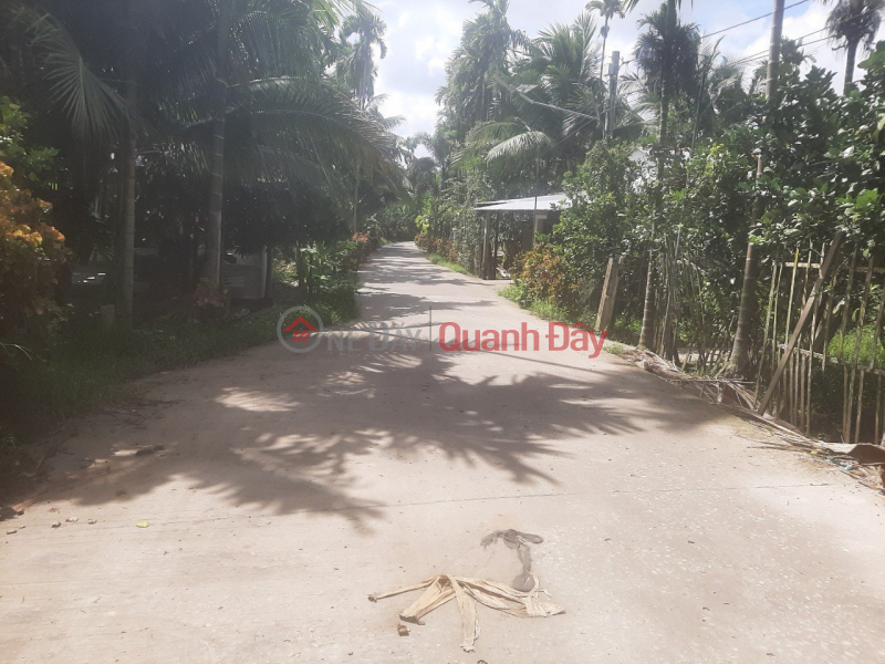 Property Search Vietnam | OneDay | | Niêm yết bán Chủ gửi 5 công vườn Địa chỉ: Kế Thành, Kế Sách