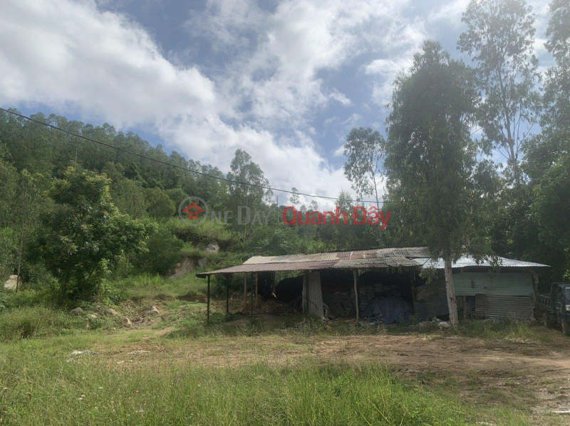 Property Search Vietnam | OneDay | Residential Sales Listings | RSX LAND LOT FOR QUICK SALE AT Phu Hoa Town, Phu Hoa District, Phu Yen Province