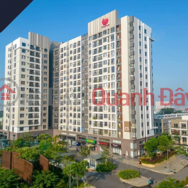 Why should you buy Park 1 and Park 2 apartments in Picity- Thanh Xuan, District 12? _0