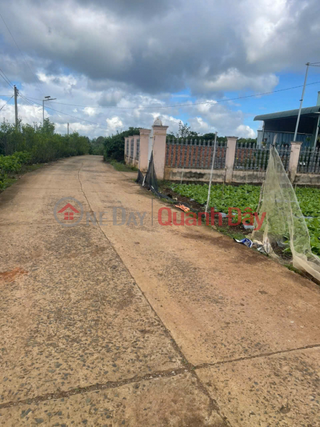 Land for sale, 502m2, Tan Hoi Commune, Duc Trong District, Lam Dong Province, cheapest price in the area: 1.5 billion VND. Vietnam | Sales đ 1.5 Billion