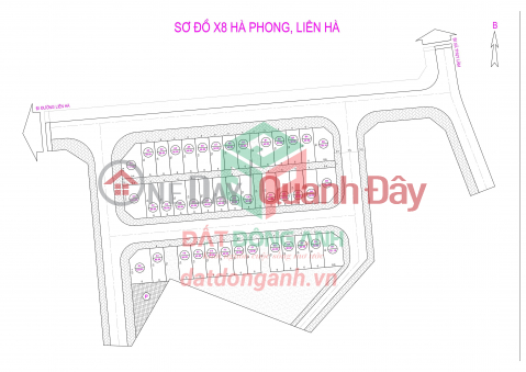 Land sale at auction X8 Ha Phong Lien Ha Dong Anh _0