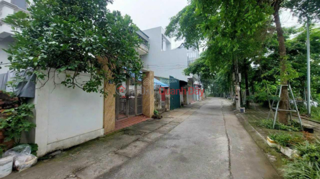 Selling 61m2 of land in Lien Ninh, Thanh Tri, shallow alley near main road., Vietnam Sales đ 2.99 Billion