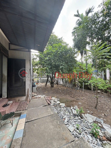 Giảm 11 tỷ! 0.5Ha Đất Mặt tiền Quốc Lộ 1A - An Phú Đông Quận 12 Việt Nam | Bán đ 143 tỷ