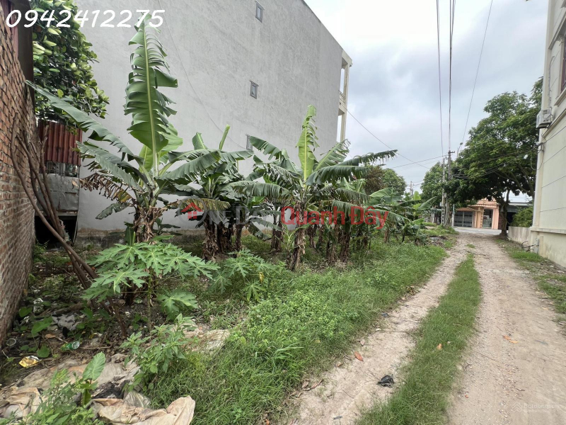 Super beautiful 2-frontage land, National Highway 17 - Gia Binh International Airport | Vietnam | Sales | đ 4.9 Billion