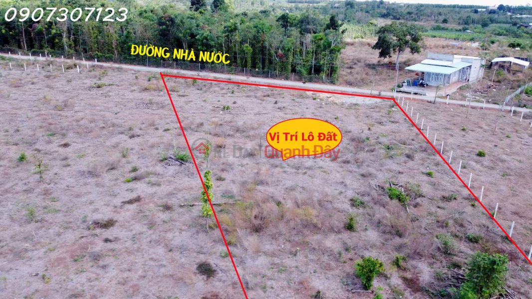 Cut loss 400 million 3 lots Lam San - Cam My 1000m2 price 1ty050, 7m concrete road with beautiful land Contact 0907307123 | Vietnam, Sales đ 1.05 Billion