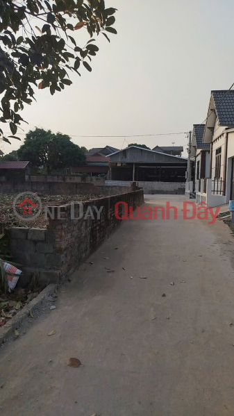 Property Search Vietnam | OneDay | Residential | Sales Listings OWNER'S LAND - Good price - Corner lot - Beautiful location in Hoa Thach commune, Quoc Oai