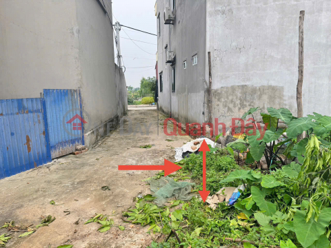 Catching the Wave of Ring Road 4 - Land with 4.5m Frontage in Kim Hoa, Me Linh - Only 2.1 Billion _0