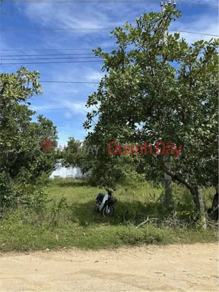 , Làm ơn chọn Nhà ở, Niêm yết bán đ 3,5 tỷ