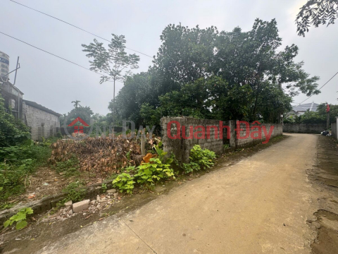 SUPER PRODUCT 103M, AT NAM PHUONG TIEN-CHUONG MY-HANOI _0