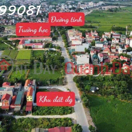 Selling 70m2 of land at auction in Dinh Trang, Duc Tu, Dong Anh, price 5.X billion _0