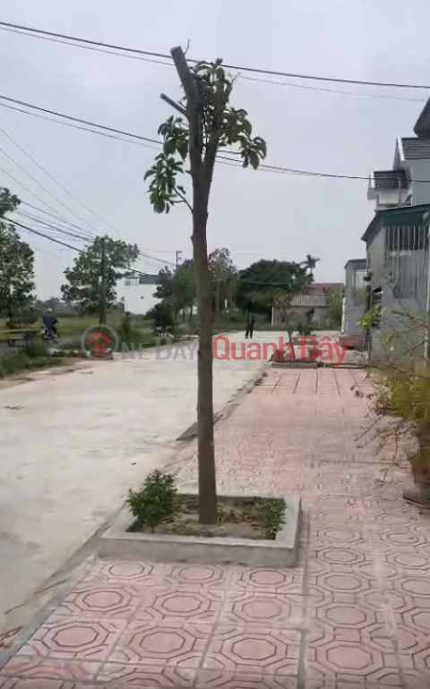 FOR SALE RESIDENTIAL LAND IN AN CHAU COMMUNE, DONG HUNG DISTRICT, AREA 170M2, PRICE ONLY 1.1 BILLION _0