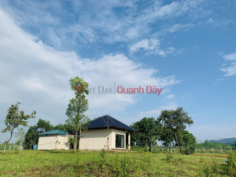 Property Search Vietnam | OneDay | Residential Sales Listings | BEAUTIFUL LAND - GOOD PRICE - For Sale Land Lot 2 Fronts Prime Location At Luu Vinh Son- Thach Ha- Ha Tinh