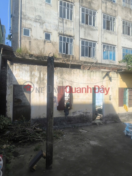 BEAUTIFUL LAND - GOOD PRICE - URGENTLY SELLING A PLOT OF POTENTIAL LAND IN THACH BAN WARD, LONG BEN, HA NOI Vietnam Sales, đ 25.5 Billion