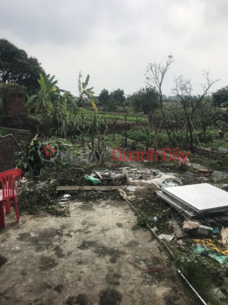 Property Search Vietnam | OneDay | Office / Commercial Property | Sales Listings Beautiful Land - Good Price - Owner Needs to Sell Factory Land in Hoang Tan, Chi Linh City.