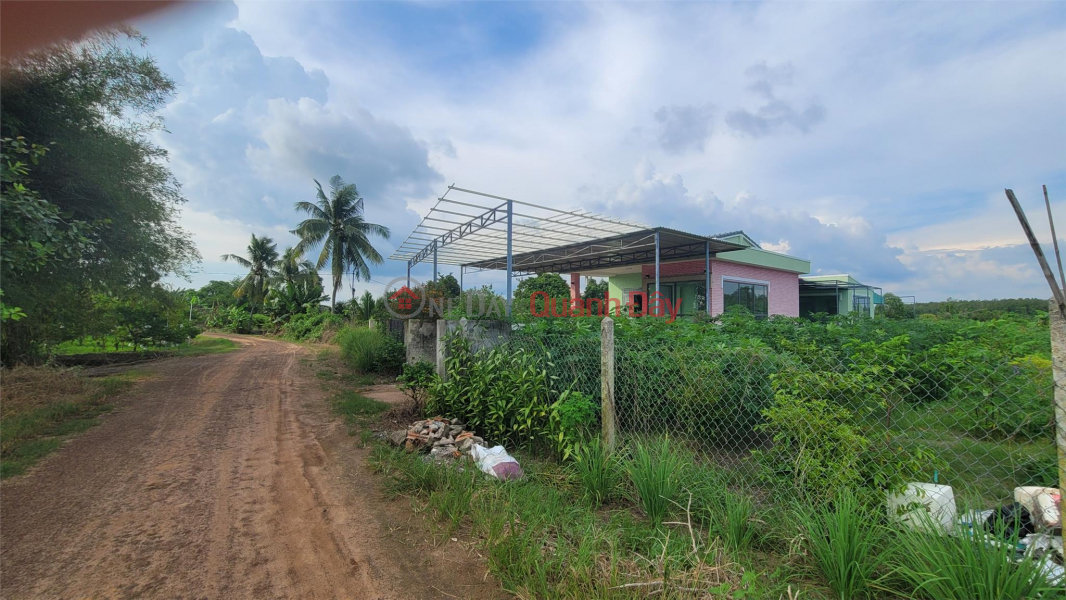 Property Search Vietnam | OneDay | Residential Sales Listings | PRIMARY LAND - FRONT FACE - Beautiful Location In Tan Trung B Hamlet, Tan Hung Commune, Tan Chau, Tay Ninh
