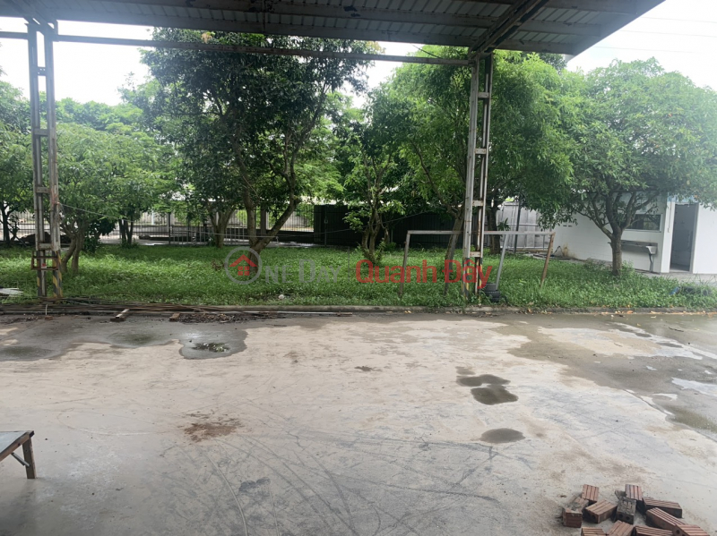 LAND AND HOUSE FOR SALE IN COC XA VILLAGE - PHU CHAU - DONG HUNG. TOTAL AREA 189M2, FRONTAGE 9M, SELLING PRICE 4.5 BILLION VND Sales Listings