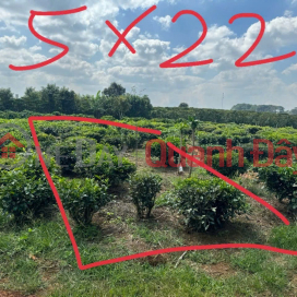 ĐẤT ĐẸP – GIÁ TỐT – CHÍNH CHỦ CẦN BÁN GẤP tại Thị Trấn Lộc Thắng, Bảo Lâm, Lâm Đồng _0