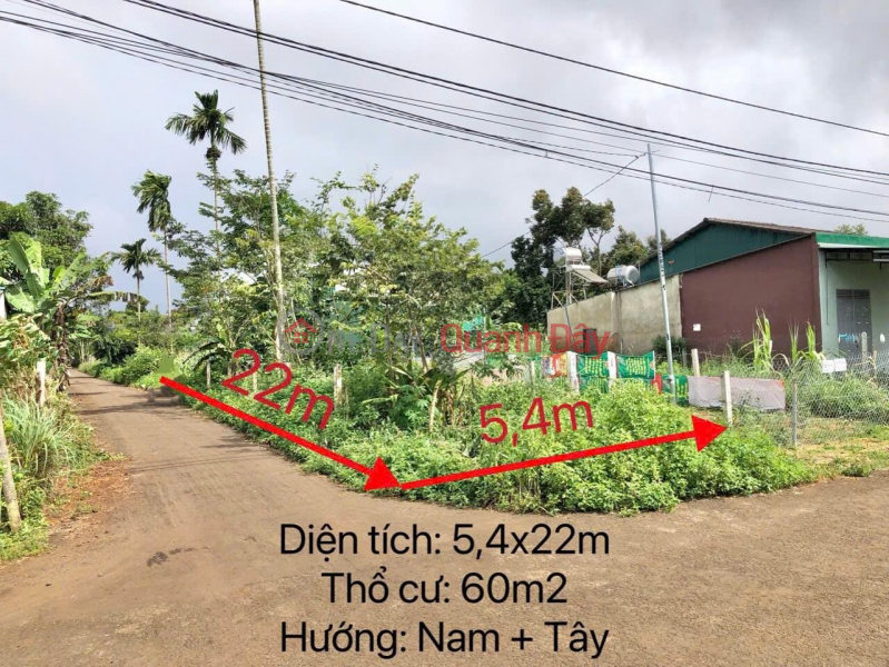 Property Search Vietnam | OneDay | Residential, Sales Listings | BEAUTIFUL LAND - GOOD PRICE - Quick Sale Land Lot Prime Location In Ea Tu Commune, Buon Ma Thuot, Dak Lak,