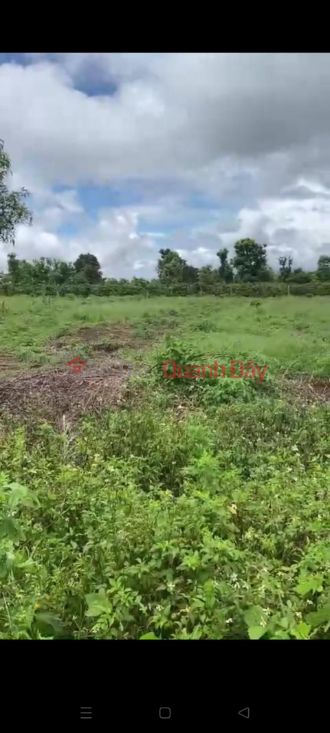 BEAUTIFUL LAND - GOOD PRICE - Land Lot For Sale Prime Location In Bo Ngoong Commune, Chu Se District, Gia Lai Province _0