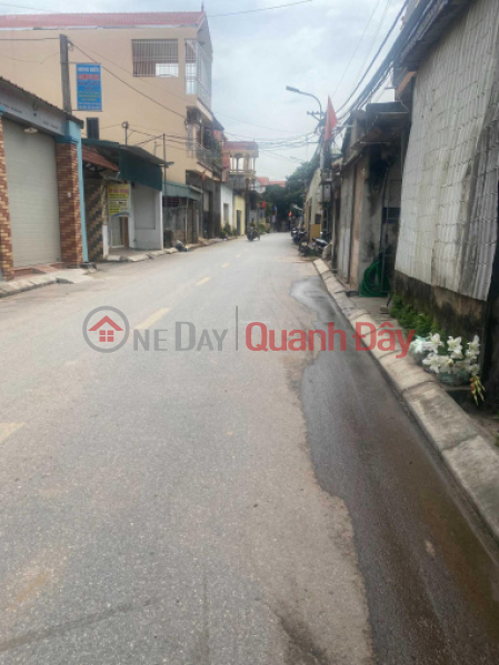 Land for sale in Lien Ninh, Thanh Tri, open road, 7 parking spaces, 70m2, over 4 billion. Sales Listings