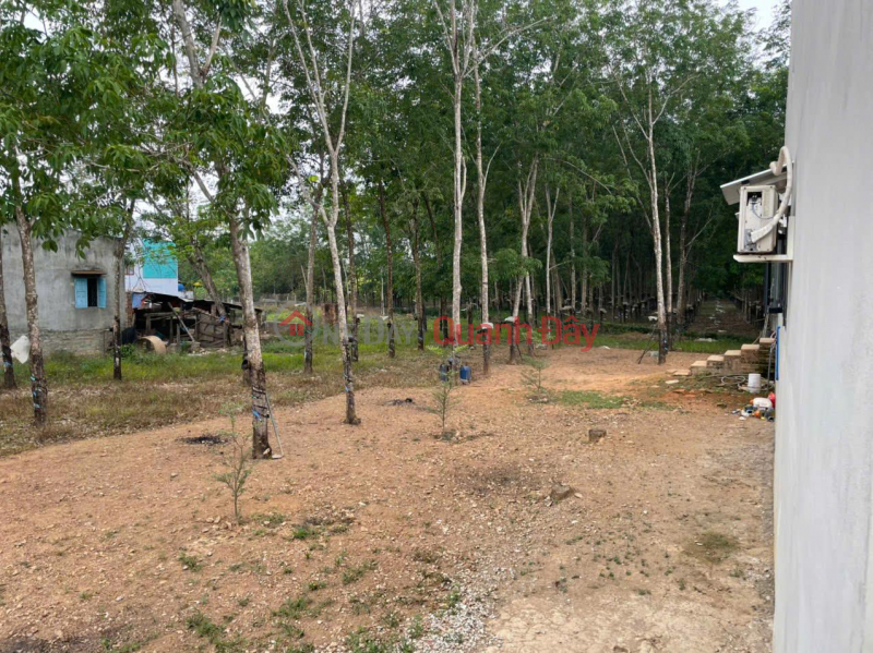 Owner Needs to Sell a Beautiful Land Plot in Lac Tanh Town, Tanh Linh District, Binh Thuan Vietnam, Sales, đ 5.72 Billion