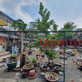 Land for sale on Linh Dong street frontage, Thu Duc, 1127m2, full residential land, huge frontage of nearly 26m, price only 70 billion negotiable _0