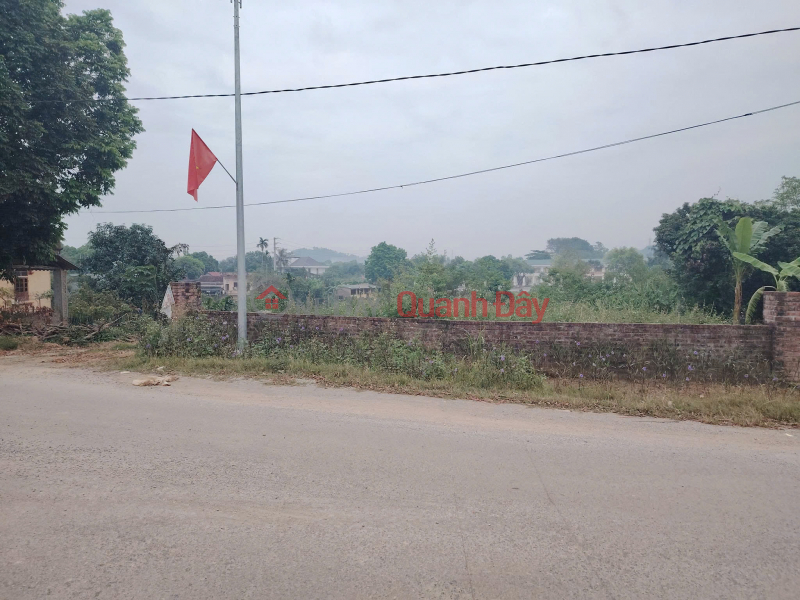 Land for sale by owner, area 1200m2 \\/ 100m2 residential land in Hoa Son, Luong Son, HB | Vietnam Sales | đ 6.6 Billion